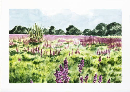 Akvarel af blomstrende mark med violette blomster foran en trærække